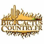 Big Cactus Country